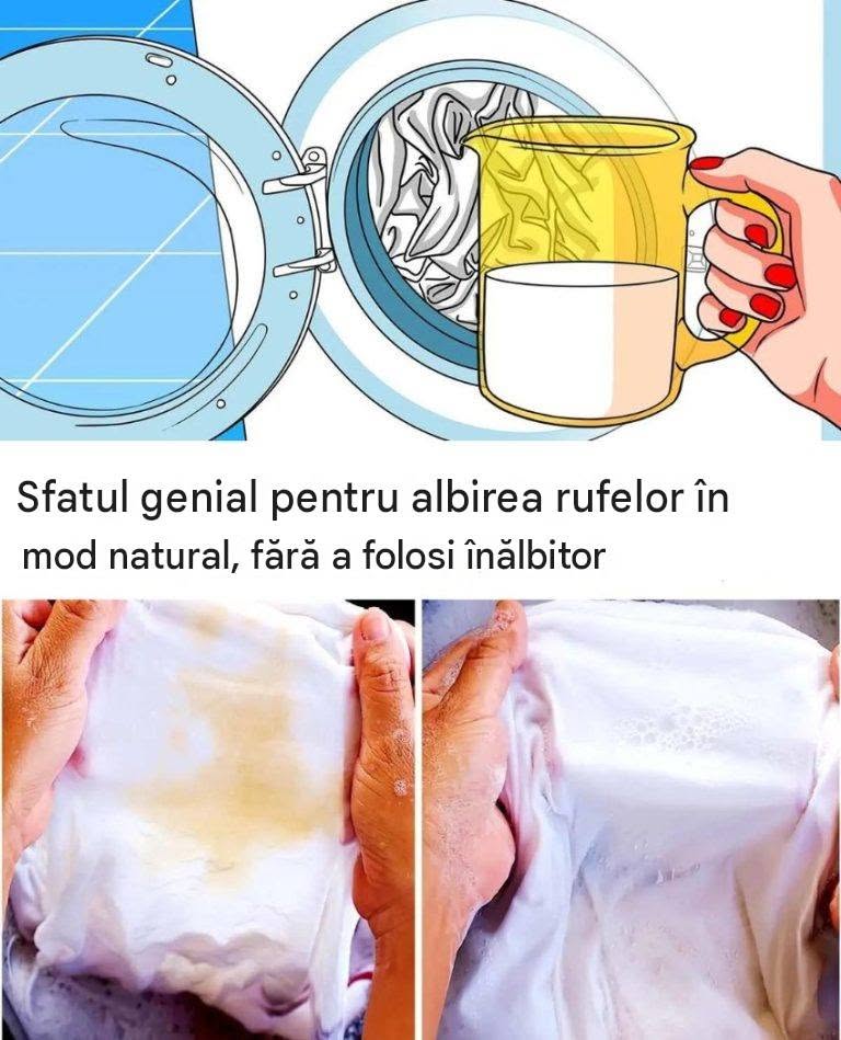 Rezultatele căutării pentru: Sfatul genial pentru albirea rufelor în mod natural, fără a folosi înălbitor 