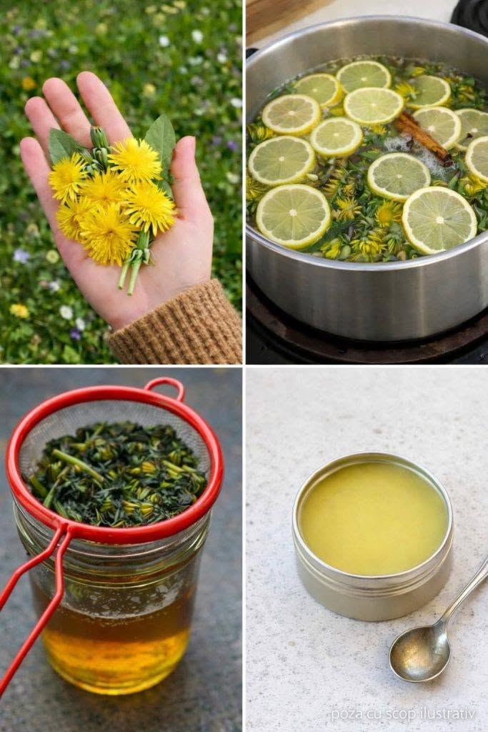  Crema de păpădie – preparatul natural din grădina ta, cu utilizări pentru organism și piele