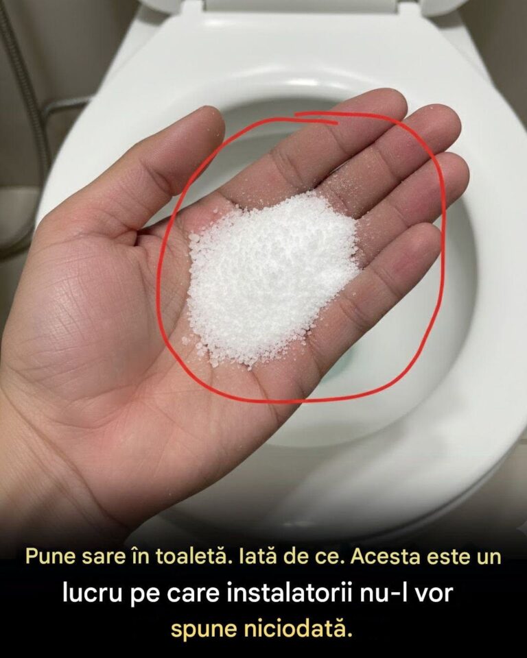Sarea în Toaletă – Trucul Simplu pentru o Baie Mai Curată și Mai Proaspătă