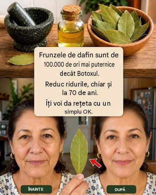 Frunzele de dafin sunt de 100.000 de ori mai puternice decât Botoxul. Elimină ridurile, chiar și la 70 de ani….. 