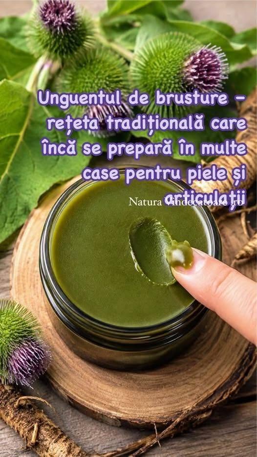 Unguentul de brusture – rețeta tradițională care încă se prepară în multe case pentru piele și articulații