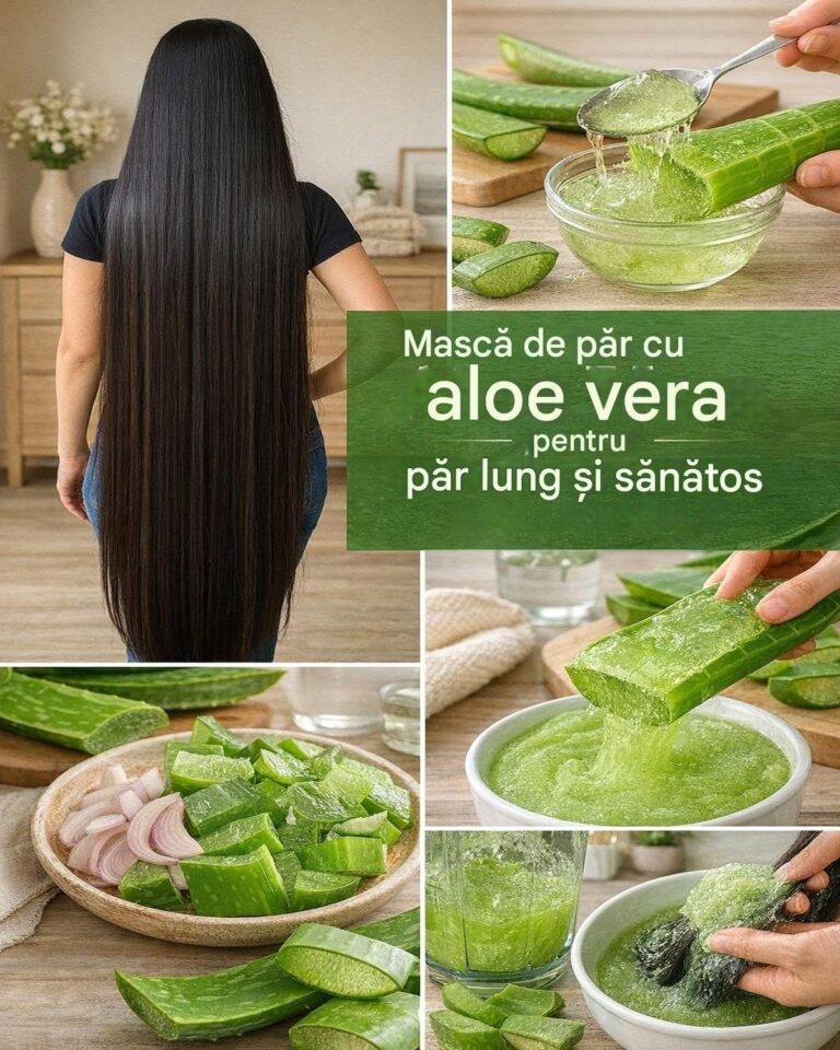 Descoperă Secretul Aloe Vera pentru un Păr Des, Strălucitor și Radiant