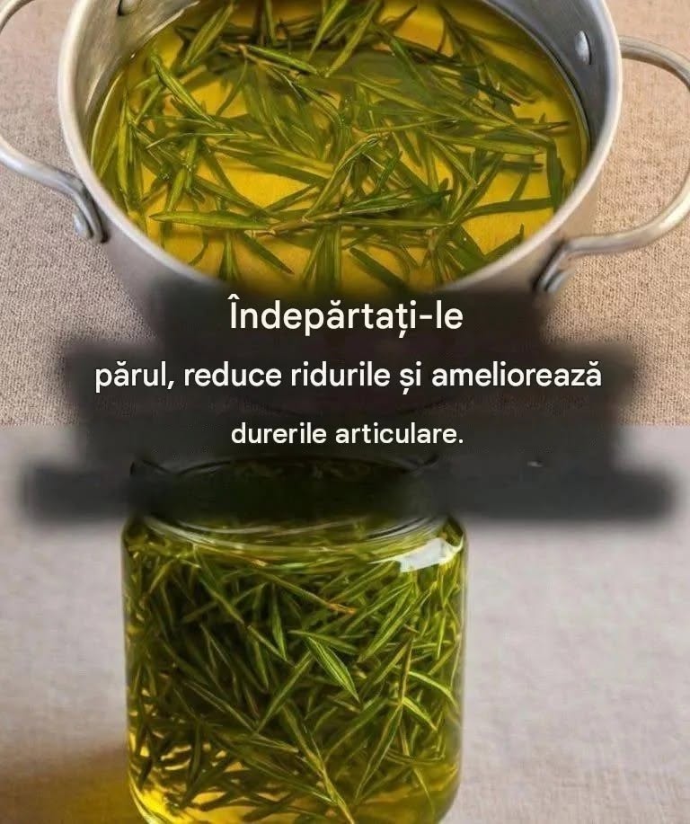 Cum se prepară ulei de rozmarin pentru ameliorarea durerilor musculare și articulare