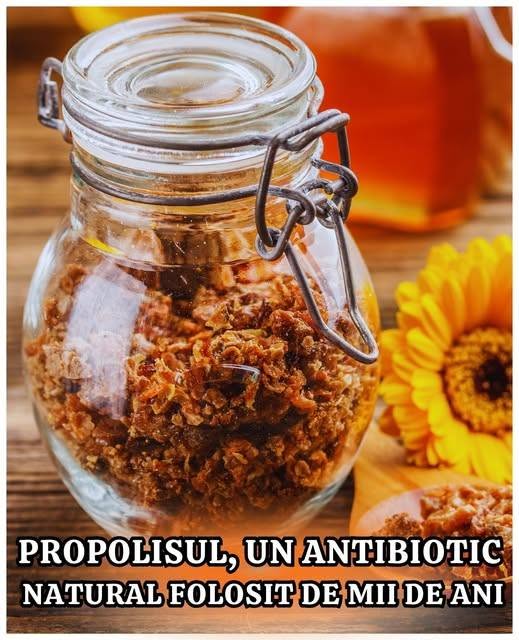 Propolisul ăsta lipicios, pe care albinele îl fac să-și apere stupul, e folosit de oameni de mii de ani 