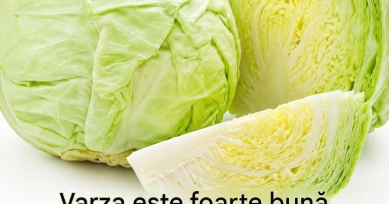 “Am început să folosesc varza în salate și surprinzător, soțul meu s-a îndrăgostit de ea! E atât de plină de vitamina C și ajută la digestie, iar acum o consumăm aproape în fiecare zi. Trebuie să o încercați 