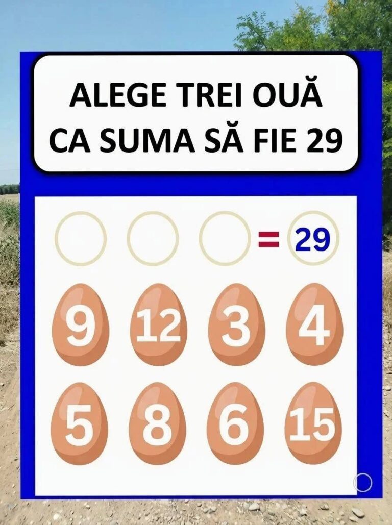 O ghicitoare doar pentru genii – ghid complet pentru înțelegerea misterelor logice