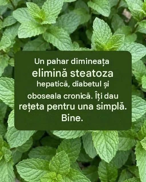 Băutură de casă cu mentă: o infuzie revigorantă pentru susținerea stării de bine și a vitalității