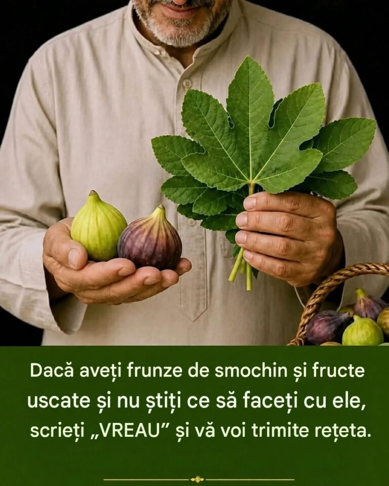 Dacă ai frunze de smochin acasă, deții o comoară naturală despre care puțini oameni știu. Descoperă cum să le profiți la maximum
