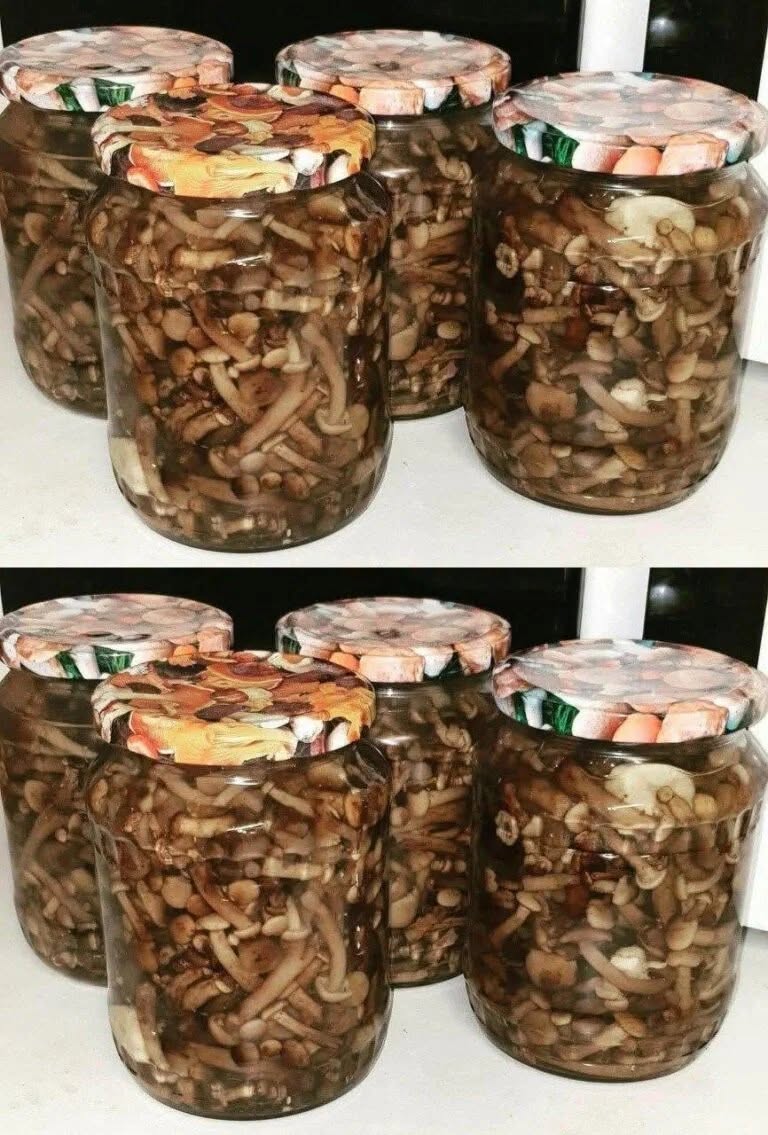 Rețeta mea de marcă pentru ciuperci marinate! De mulți ani le marinez doar așa! Oricine le gustă, cere imediat rețeta