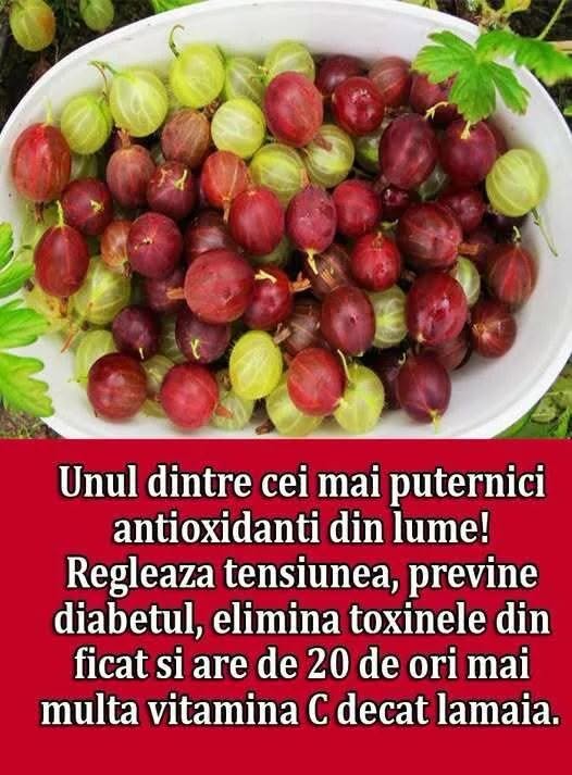 Fructul plin de antioxidanti, care are de 20 de ori mai multa vitamina C decat lamaia, se gaseste si in Romania