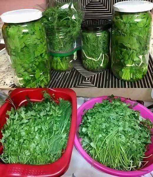 „Truc genial! Cum să păstrezi pătrunjelul verde și proaspăt chiar și luni întregi – secretul pe care bucătarii nu-l dau oricui 𝐕𝐄𝐙𝐈 𝐈𝐍 𝐂𝐎𝐌𝐄𝐍𝐓𝐀𝐑𝐈𝐔”
