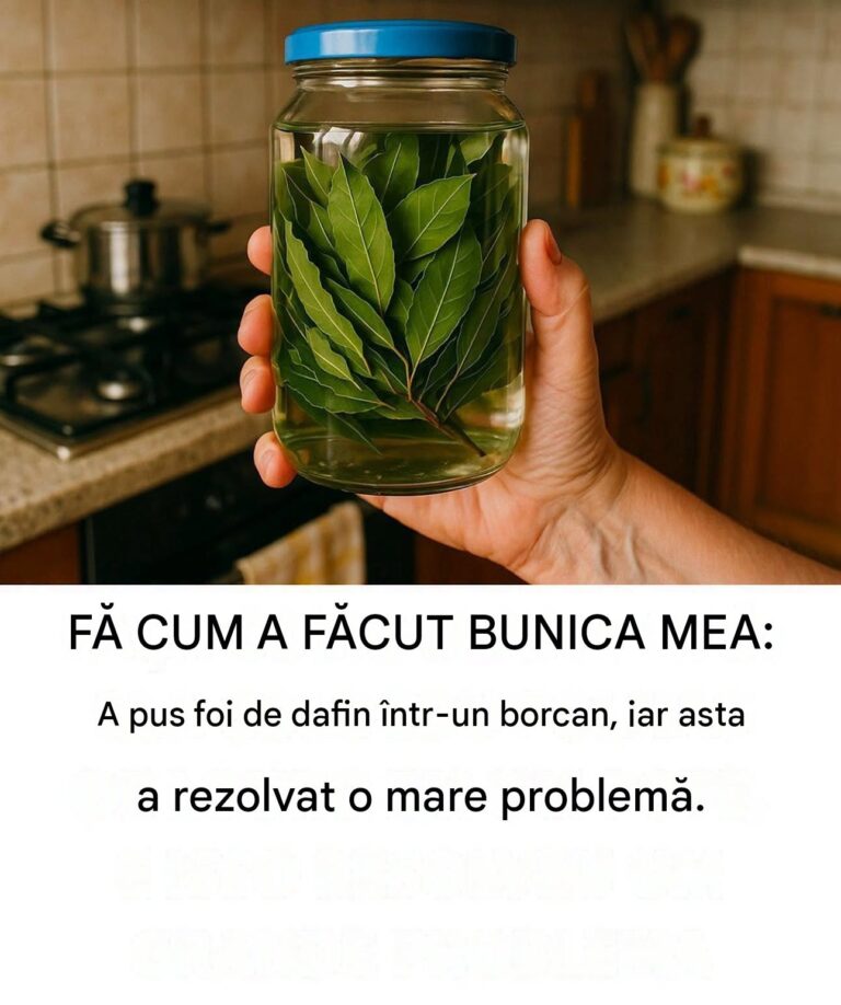 Fă cum a făcut bunica mea: a pus frunze de dafin într-un borcan, iar asta a rezolvat o mare problemă