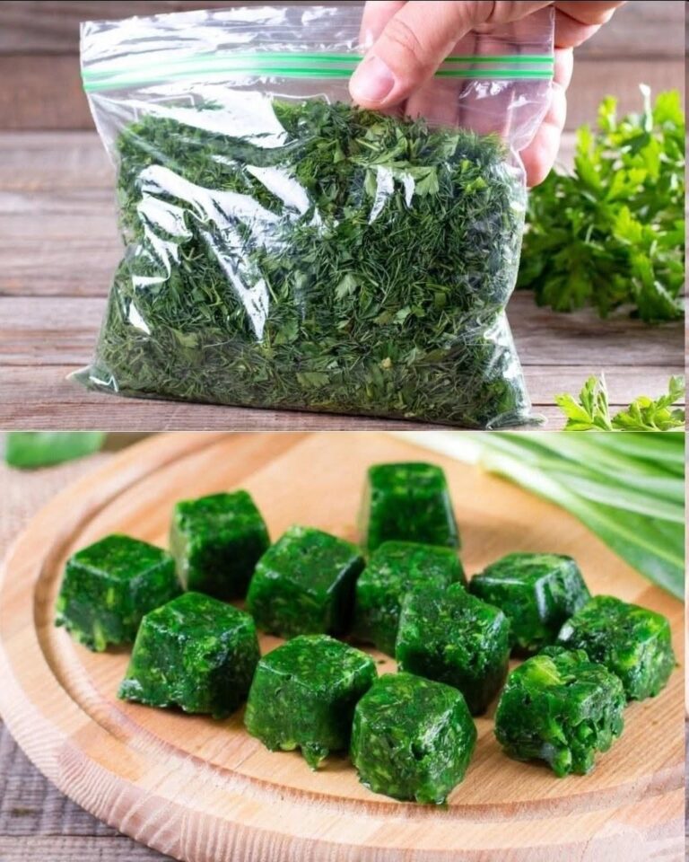Cum să păstrezi plantele aromatice pentru o durată de conservare îndelungată