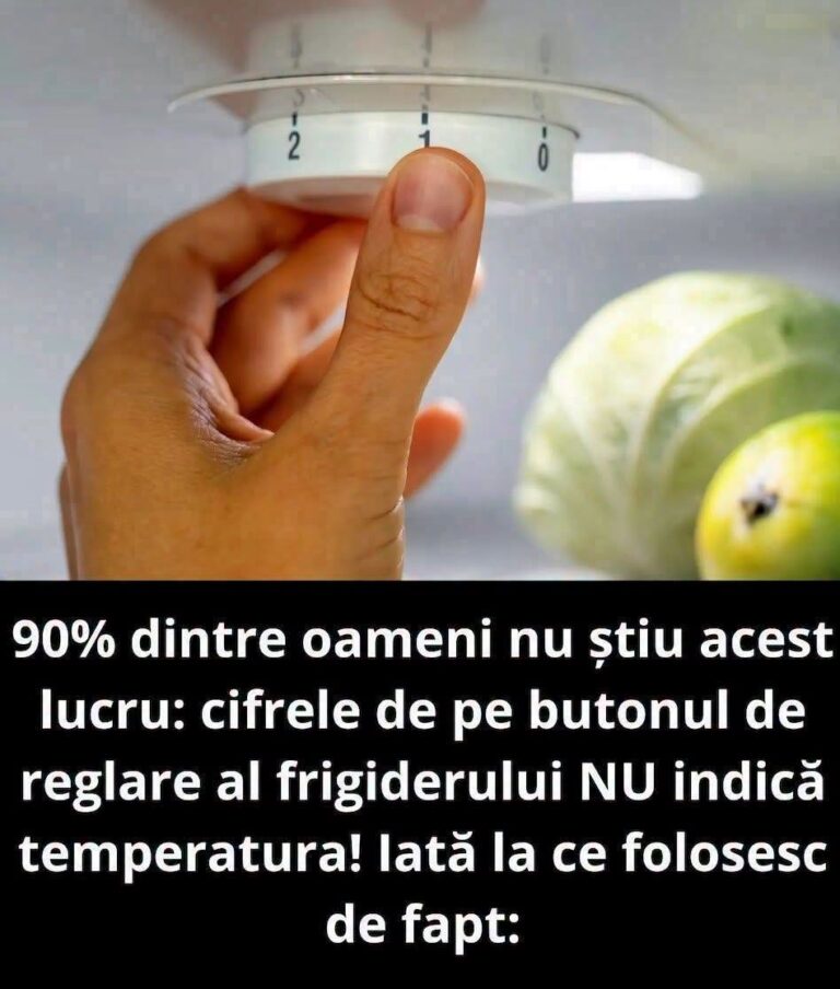 90% dintre oameni nu știu acest lucru: cifrele de pe butonul de reglare al frigiderului NU indică temperatura! Iată la ce folosesc de fapt: