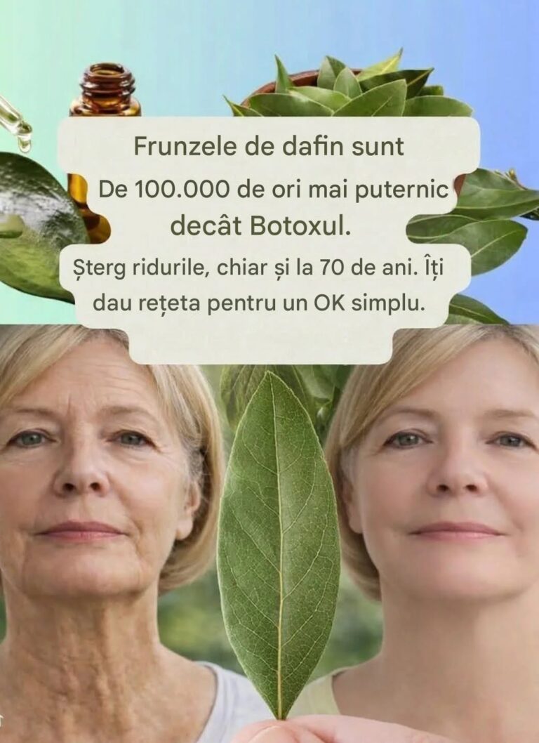 Laurul: Investește în produse de îngrijire naturală și sănătoasă pentru cosmetice antiinflamatoare