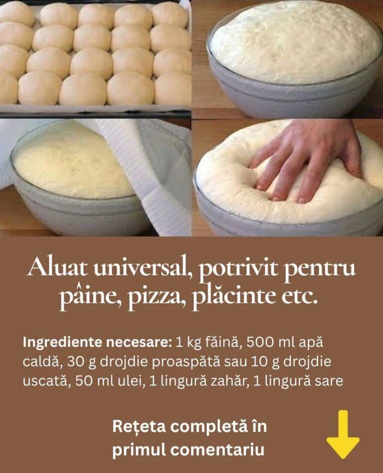 Aluat versatil pentru pâine, pizza și plăcinte Rețeta mai jos