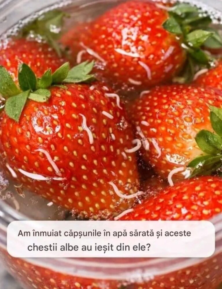Mi-am ținut căpșunele la înmuiat în apă cu sare, iar chestiile astea albe au ieșit afară mișcându-se?
